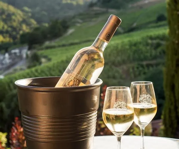 Wine Passion Panoramic Chavanay