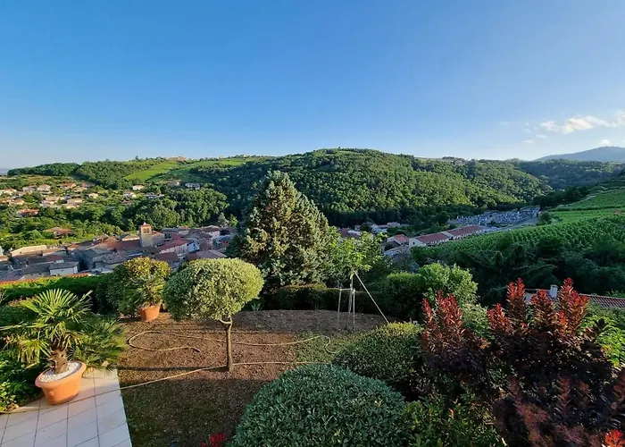 Wine Passion Panoramic Affittacamere 3*