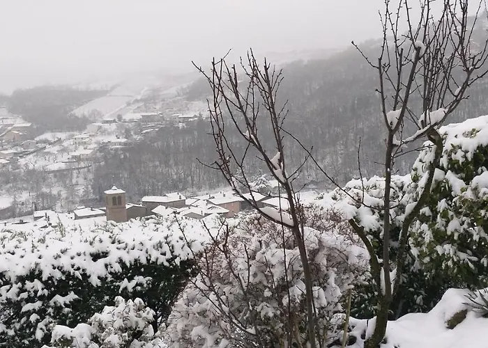 Wine Passion Panoramic Chavanay