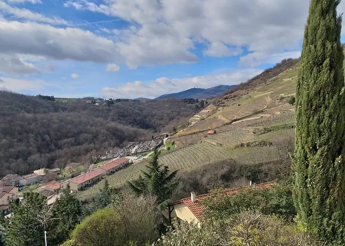 Wine Passion Panoramic Chavanay