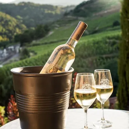 Wine Passion Panoramic Chavanay