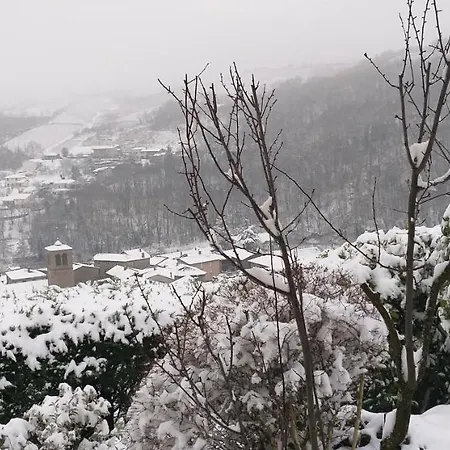 Wine Passion Panoramic Chavanay
