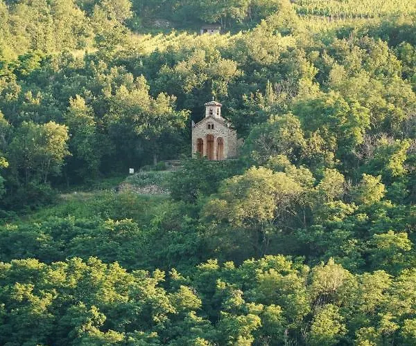 Wine Passion Panoramic Maison d'hôtes